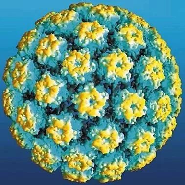 超26岁有性生活不能打？HPV疫苗攻略都在这了…